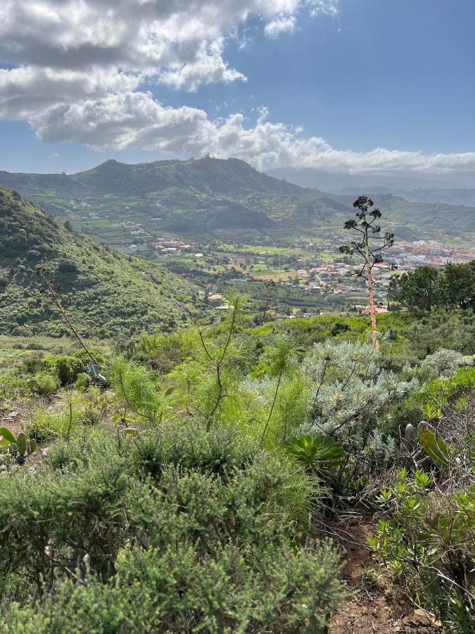 Apartamento en Bajamar -Tenerife Bagian luar foto